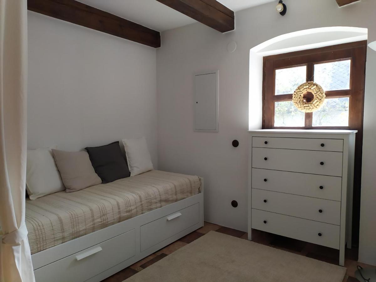 Forest Rustic Apartment Brdy Vesin エクステリア 写真