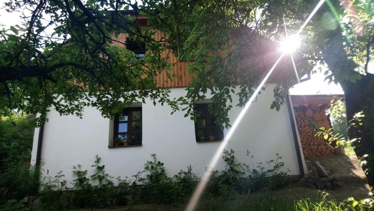 Forest Rustic Apartment Brdy Vesin エクステリア 写真